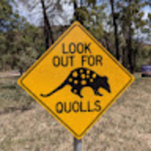 Meet your Posher, Eva